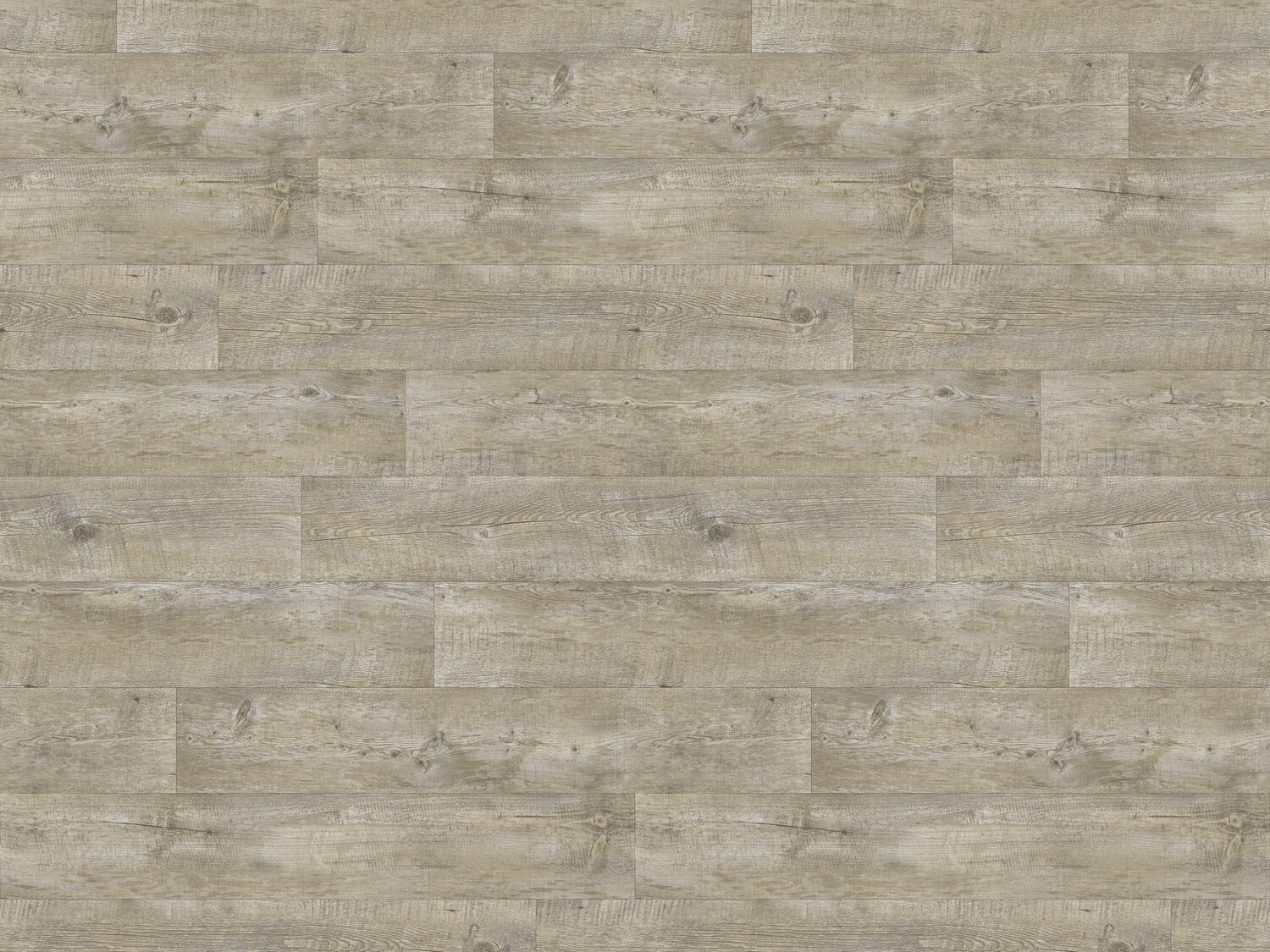 Taralay Impression Compact